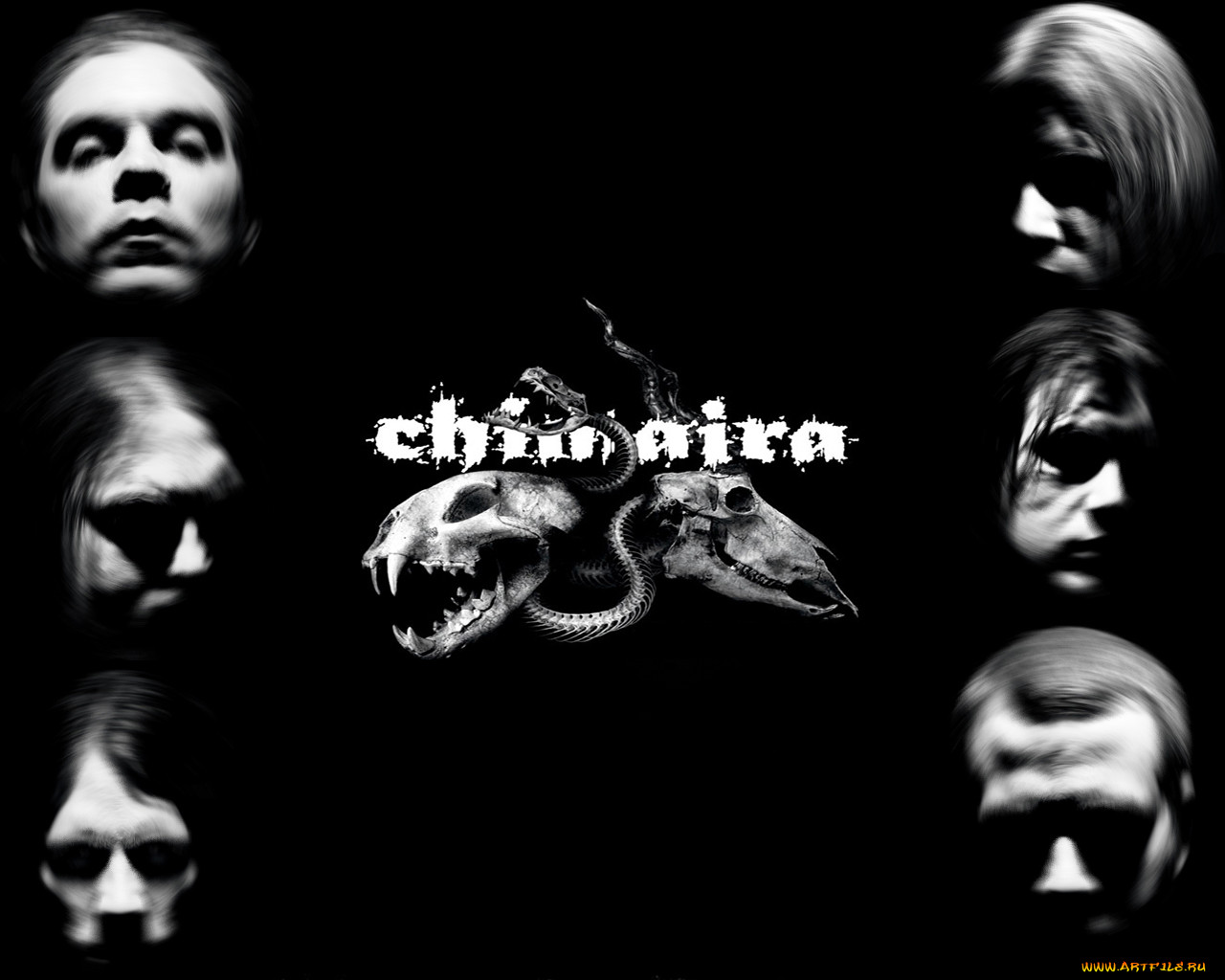 chimaira, 